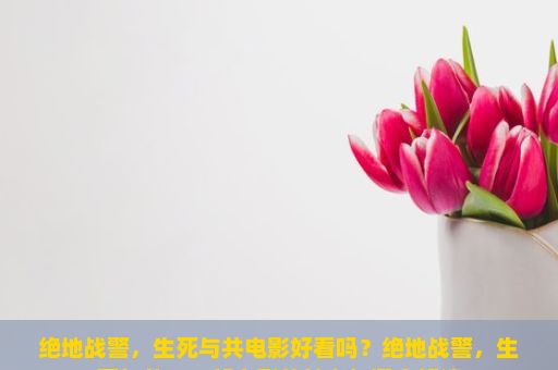 绝地战警，生死与共电影好看吗？绝地战警，生死与共，一部电影的魅力与深度解读