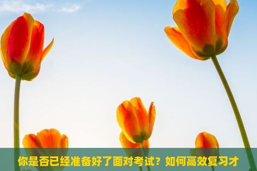 你是否已经准备好了面对考试？如何高效复习才能在考试中取得好成绩？考试，挑战与机遇的交织