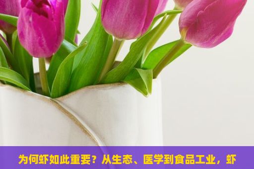 为何虾如此重要？从生态、医学到食品工业，虾的影响力无处不在。，虾，海洋的舞者，餐桌的佳肴