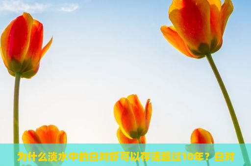 为什么淡水中的白对虾可以存活超过10年？白对虾，养殖、市场与未来趋势的探索