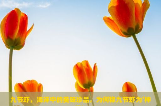 九节虾，海洋中的美味珍品，为何称九节虾为‘神蟹’？