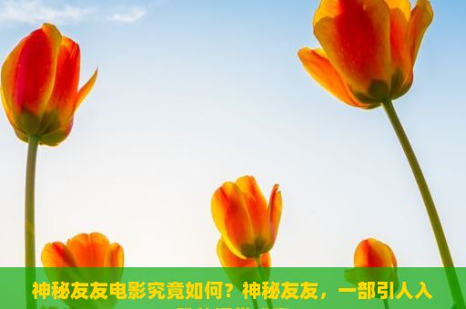 神秘友友电影究竟如何？神秘友友，一部引人入胜的视觉盛宴