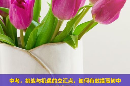 中考，挑战与机遇的交汇点，如何有效提高初中数学学习效率