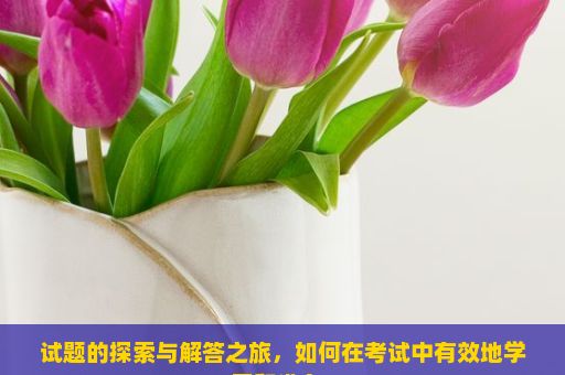 试题的探索与解答之旅，如何在考试中有效地学习和准备？