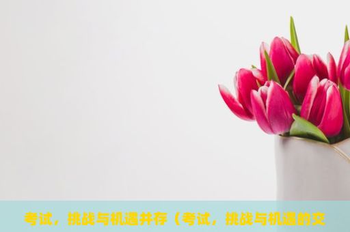 考试，挑战与机遇并存（考试，挑战与机遇的交织）