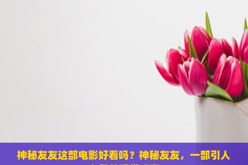 神秘友友这部电影好看吗？神秘友友，一部引人入胜的视觉盛宴