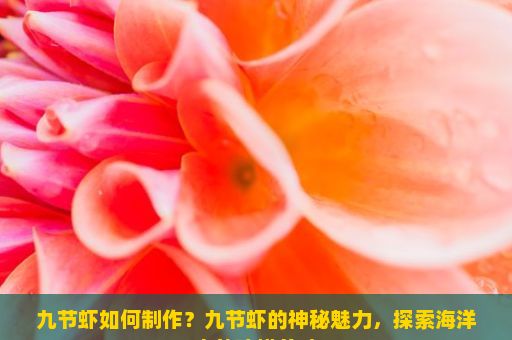 九节虾如何制作？九节虾的神秘魅力，探索海洋中的珍馐美味