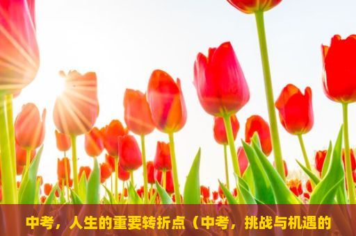 中考，人生的重要转折点（中考，挑战与机遇的交汇点）