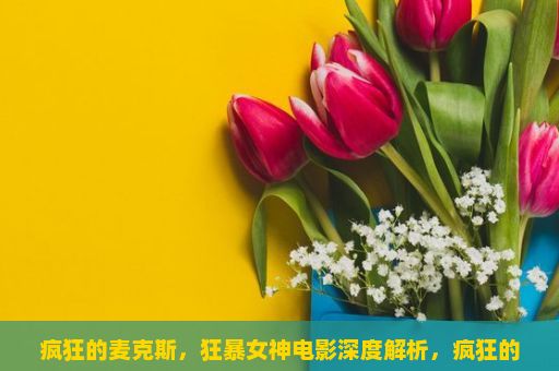 疯狂的麦克斯，狂暴女神电影深度解析，疯狂的麦克斯，狂暴女神，一部视觉与剧情交融的震撼之作