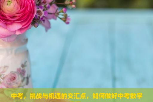 中考，挑战与机遇的交汇点，如何做好中考数学复习？