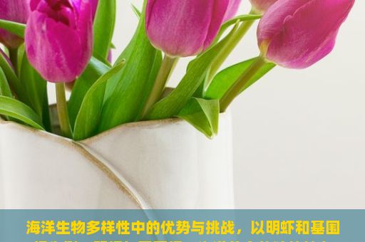 海洋生物多样性中的优势与挑战，以明虾和基围虾为例，明虾与基围虾，海洋美食的独特魅力