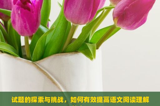 试题的探索与挑战，如何有效提高语文阅读理解能力？