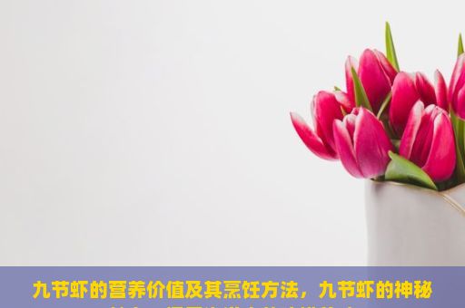 九节虾的营养价值及其烹饪方法，九节虾的神秘魅力，探索海洋中的珍馐美味