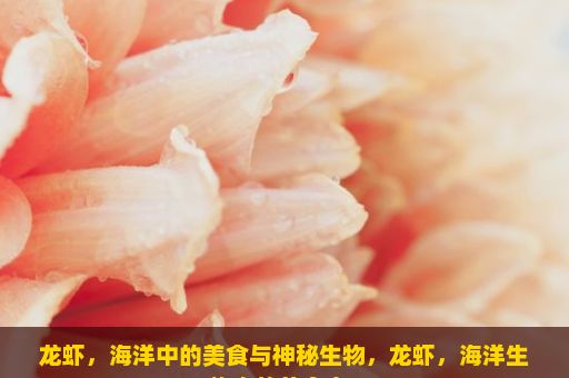 龙虾，海洋中的美食与神秘生物，龙虾，海洋生物中的美食家？