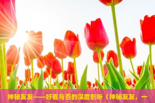 神秘友友——好看与否的深度剖析（神秘友友，一部引人入胜的视觉盛宴）