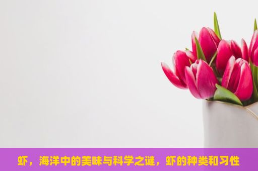 虾，海洋中的美味与科学之谜，虾的种类和习性