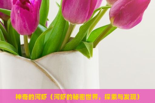 神奇的河虾（河虾的秘密世界，探索与发现）