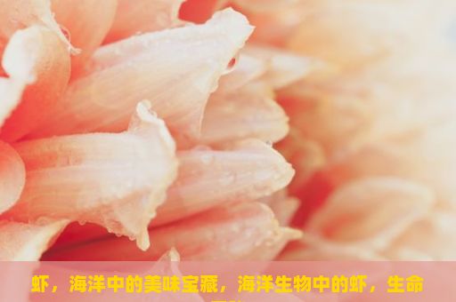 虾，海洋中的美味宝藏，海洋生物中的虾，生命奥秘