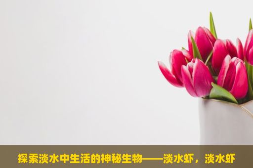 探索淡水中生活的神秘生物——淡水虾，淡水虾，从养殖到餐桌的探索之旅