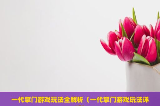 一代掌门游戏玩法全解析（一代掌门游戏玩法详解）