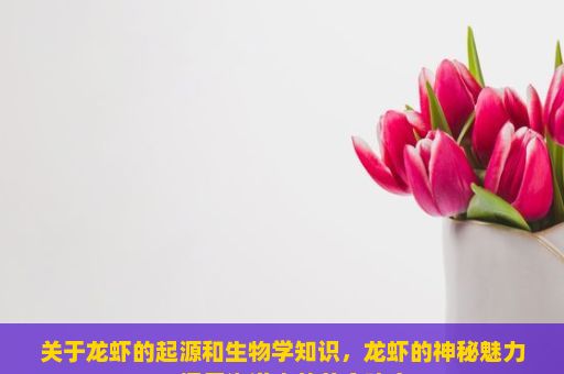 关于龙虾的起源和生物学知识，龙虾的神秘魅力，探索海洋中的美食瑰宝