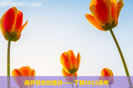 揭开历史的面纱——了解2022高考