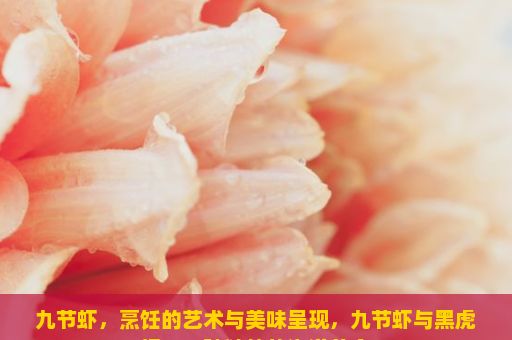 九节虾，烹饪的艺术与美味呈现，九节虾与黑虎虾，一种独特的海洋美食