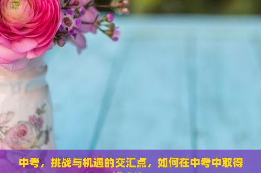 中考，挑战与机遇的交汇点，如何在中考中取得好成绩？