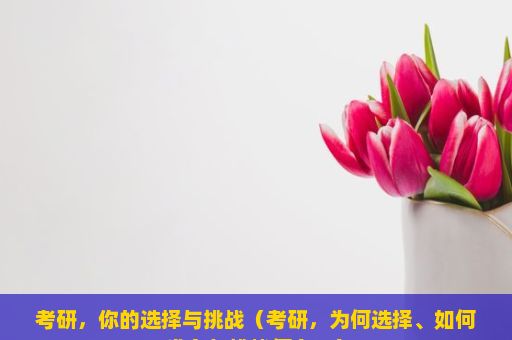 考研，你的选择与挑战（考研，为何选择、如何准备与挑战何在？）