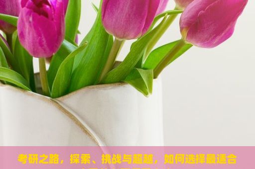 考研之路，探索、挑战与超越，如何选择最适合自己的考研复习方法？