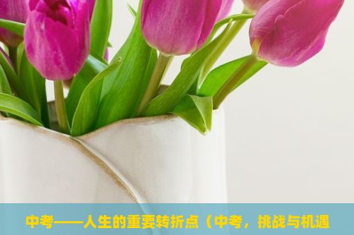 中考——人生的重要转折点（中考，挑战与机遇的交汇点）