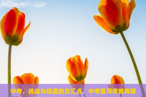 中考，挑战与机遇的交汇点，中考复习策略有哪些？