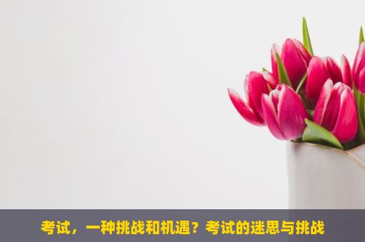 考试，一种挑战和机遇？考试的迷思与挑战