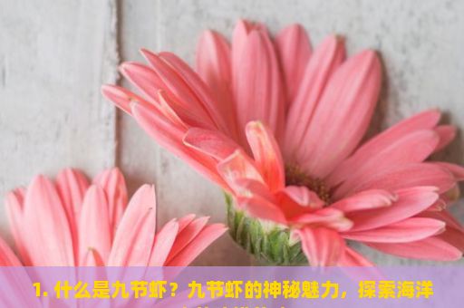 1. 什么是九节虾？九节虾的神秘魅力，探索海洋中的珍馐美味