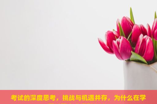 考试的深度思考，挑战与机遇并存，为什么在学习过程中会遇到考试？