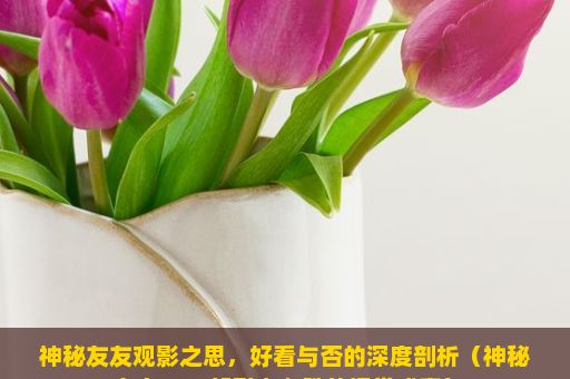 神秘友友观影之思，好看与否的深度剖析（神秘友友，一部引人入胜的视觉盛宴）