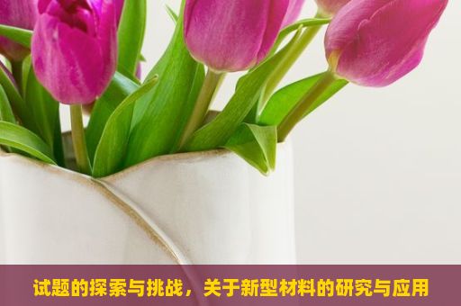 试题的探索与挑战，关于新型材料的研究与应用