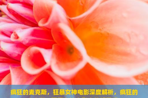 疯狂的麦克斯，狂暴女神电影深度解析，疯狂的麦克斯，狂暴女神电影真的好看吗？