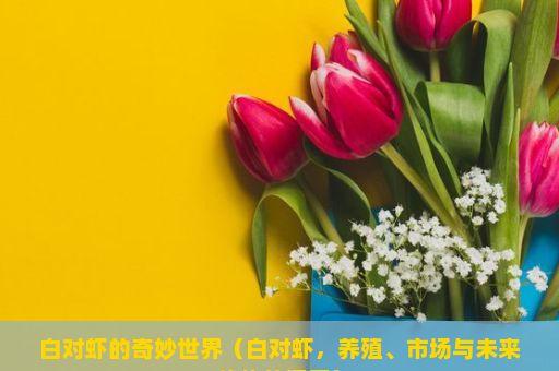 白对虾的奇妙世界（白对虾，养殖、市场与未来趋势的探索）