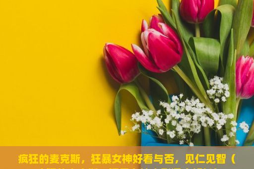 疯狂的麦克斯，狂暴女神好看与否，见仁见智（疯狂的麦克斯，狂暴女神电影深度解析）