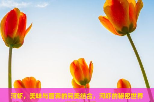 河虾，美味与营养的完美结合，河虾的秘密世界，探索与发现