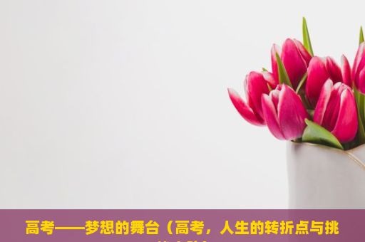 高考——梦想的舞台（高考，人生的转折点与挑战之路）