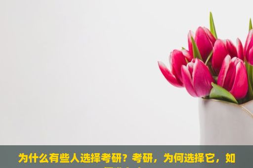 为什么有些人选择考研？考研，为何选择它，如何准备它？