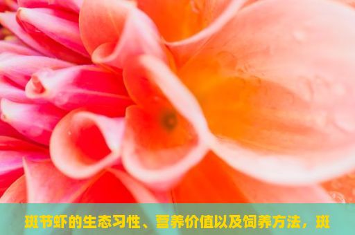 斑节虾的生态习性、营养价值以及饲养方法，斑节虾，海洋的珍馐与美食的象征