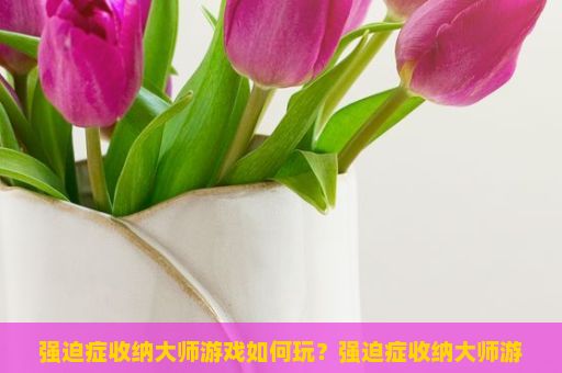 强迫症收纳大师游戏如何玩？强迫症收纳大师游戏玩法详解