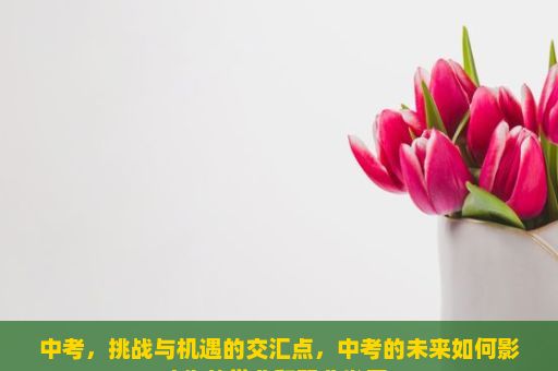 中考，挑战与机遇的交汇点，中考的未来如何影响你的学业和职业发展？