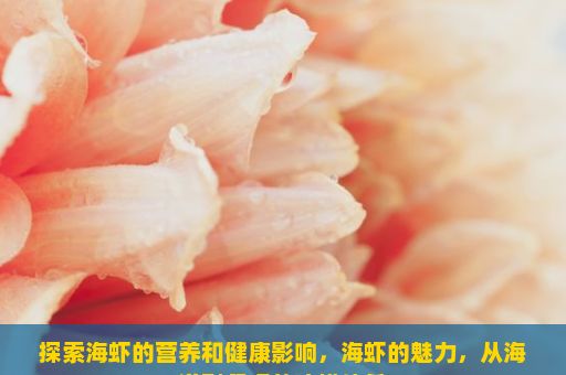 探索海虾的营养和健康影响，海虾的魅力，从海洋到餐桌的珍馐佳肴