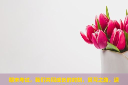 期末考试，我们共同成长的时刻，复习之路，迎接2024年期末考的挑战