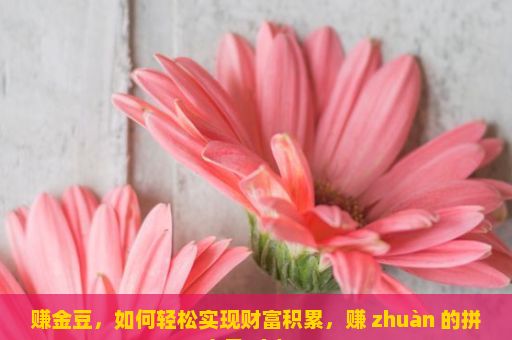 赚金豆，如何轻松实现财富积累，赚 zhuàn 的拼音是 zhàn。