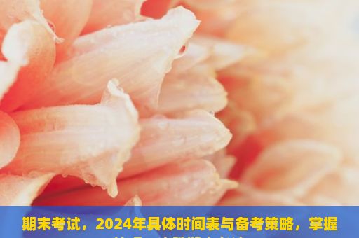 期末考试，2024年具体时间表与备考策略，掌握技巧，决胜期末考试